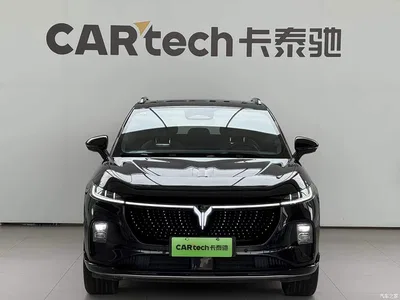 2024 Voyah Auto Voyah Zhiyin 4WD Global Edition, фото 3, лот 11146432