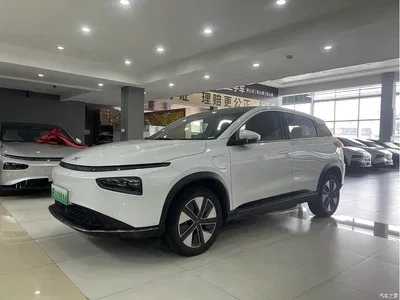 2021 XPeng G3 G3i 460N, фото 1, лот 10680261