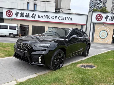 2020 WEY VV7 Model 2.0T Flagship, фото 1, лот 10612260