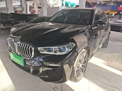 2019 BMW X5 (Import) xDrive40i M Sport Package, фото 1, лот 11585273