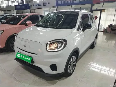 2024 Leapmotor T03 310 Comfort Edition, фото 1, лот 10441992