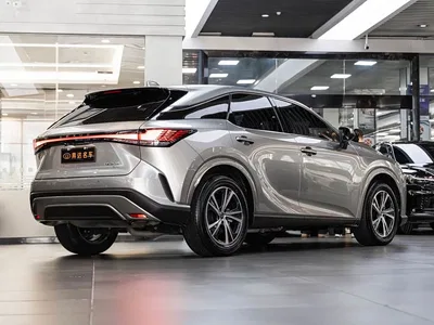 2025 Lexus RX 300 4WD Premium Edition, фото 3, лот 10312273
