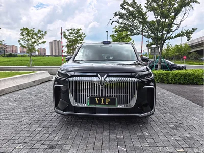 2025 Voyah Auto Voyah Dreamer Model PHEV 4WD Excellent QianKun Edition, фото 2, лот 10358507