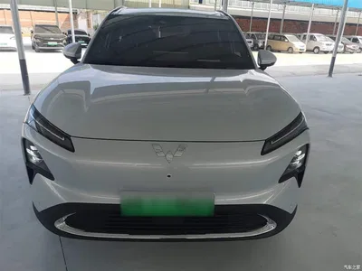 2024 Wuling Motors Wuling Xingguang S 130km Flagship Model, фото 3, лот 10835975