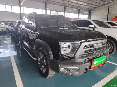 2024 Haval Big Dog 2.0T DCT Chinese Rural Dog Edition, фото 4, лот 11223495