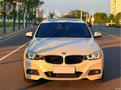 2019 BMW 3 Series GT 320i M Sport Model, фото 2, лот 10473734