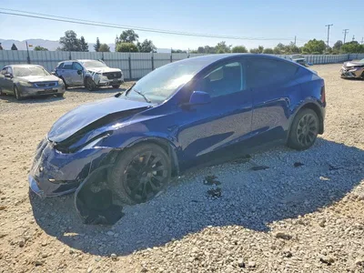 2024 TESLA MODEL Y, фото 1, лот 10851909