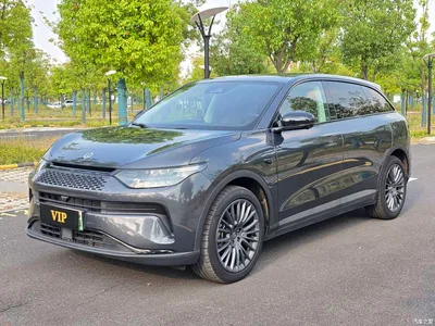 2023 Leapmotor C11 Range Extender 180 Comfort Edition, фото 1, лот 10405888