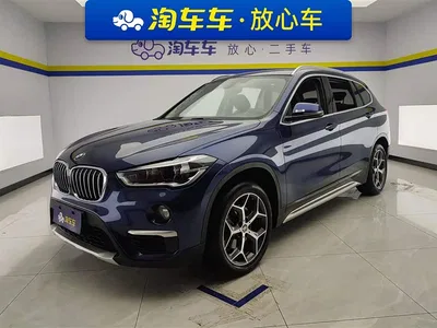 2019 BMW X1 sDrive18Li Premium Model, фото 1, лот 10465877