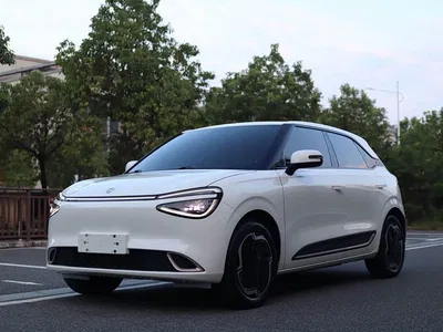 2024 Dongfeng Yipai Nano 01 330 Plus, фото 1, лот 10835141