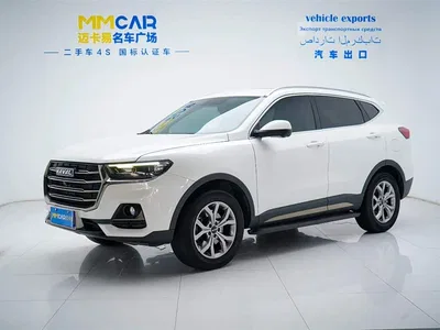 2021 Haval H6 National Trend Edition 1.5GDIT Automatic Champion Edition, фото 1, лот 10297230