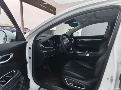2020 Geely Borui 1.5T MHEV Premium Edition, фото 4, лот 10436200