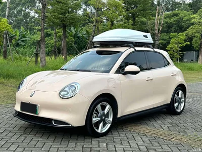 2022 Ora Good Cat 400km Standard Range Luxury LFP, фото 1, лот 10765710