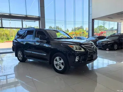 2009 Lexus LX 570, фото 3, лот 10392172