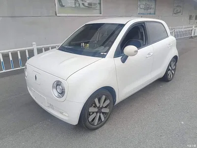 2021 Ora Black Cat 351km Luxury Model, фото 2, лот 10334493