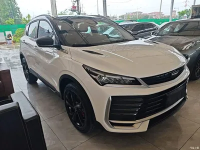 2025 Geely Binyue Bin Yue L 1.5TD DCT Starlight, фото 4, лот 10310876