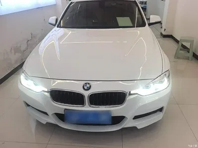 2018 BMW 3 Series 320Li Leading M Sport Package, фото 3, лот 10457733