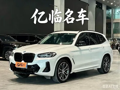 2023 BMW X3 xDrive30i Leading M Night Package, фото 1, лот 10426964