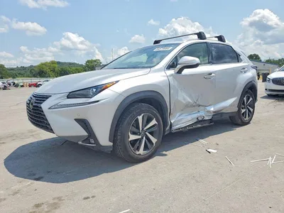 2019 LEXUS NX 300H, фото 1, лот 10977184