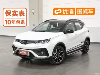 2019 Soueast DX5 1.5T CVT Premium, фото 1, лот 11583086