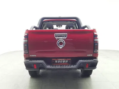 2020 Great Wall Pao 2.0T Off-road Automatic Diesel 4WD Premium Edition GW4D20M, фото 4, лот 11099329