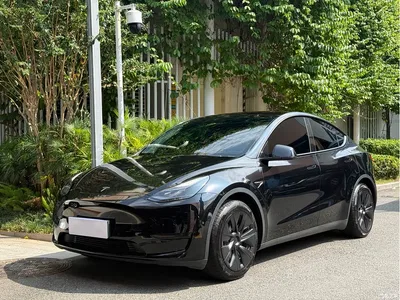 2022 Tesla Model Y Facelift Rear-Wheel Drive Version, фото 1, лот 11089633
