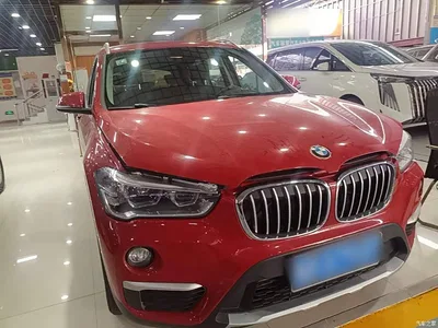 2018 BMW X1 sDrive18Li Premium Model, фото 4, лот 10467275