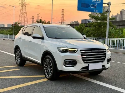 2020 Haval H6 2.0GDIT Automatic Platinum Champion Edition, фото 3, лот 10414391