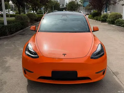 2021 Tesla Model Y Standard Range Rear-Wheel Drive, фото 2, лот 10454401