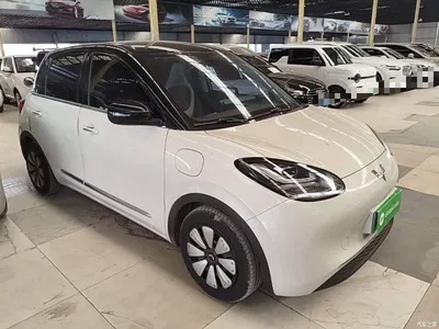 2023 Wuling Motors Wuling Bingo Model 333km Joy+ Version, фото 4, лот 10435234