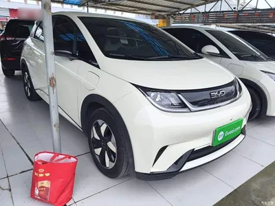 2025 BYD Dolphin 420km Freedom Edition, фото 4, лот 11241396