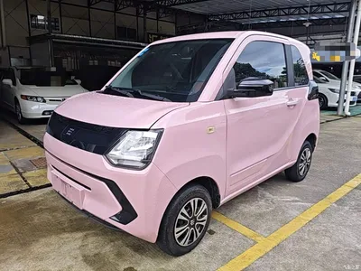 2022 Dongfeng Fengguang MINIEV Model Practical Edition Comfort, фото 1, лот 11160796