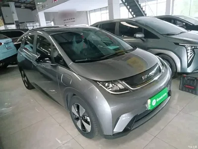 2023 BYD Dolphin 420km Freedom Edition, фото 4, лот 11468525