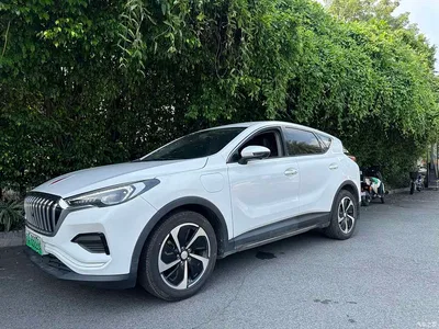 2019 Hongqi E-HS3 Smart Connection Flag Joy FWD Version, фото 3, лот 10690099