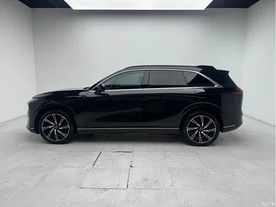 2024 XPeng G9 702 Pro, фото 2, лот 11415273