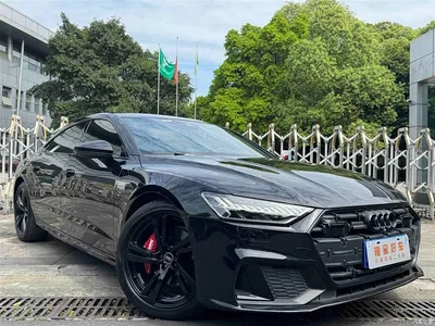 2022 Audi A7L 45 TFSI quattro S-line Wind Rider, фото 3, лот 10235521