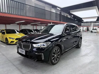 2023 BMW X5 xDrive 30Li Premium M Sport Package, фото 1, лот 10435186