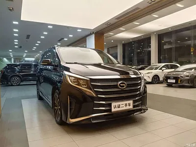 2021 GAC Trumpchi Trumpchi M8 Leading Show Series 390T Premium Edition, фото 4, лот 10414592