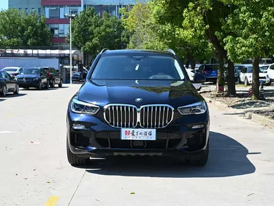 2019 BMW X5 (Import) xDrive40i Exclusive M Sport Package, фото 2, лот 11582829