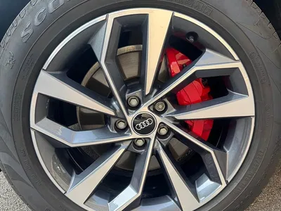2025 Audi Q5L 40 TFSI Luxury Dynamic, фото 4, лот 11508679