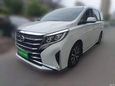 2021 GAC Trumpchi Trumpchi M8 Facelift Leading Series 390T Luxury Edition, фото 1, лот 10424006