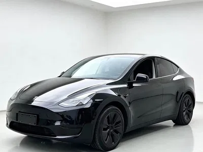 2023 Tesla Model Y Rear-Wheel Drive Edition, фото 1, лот 10453887