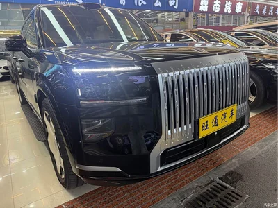 2025 ZEEKR 9X Model Standard, фото 3, лот 10817575