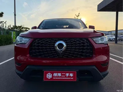 2021 Great Wall Pao 2.0T Commercial Edition Automatic Diesel 4WD Elite Long Box GW4D20M, фото 2, лот 10245685