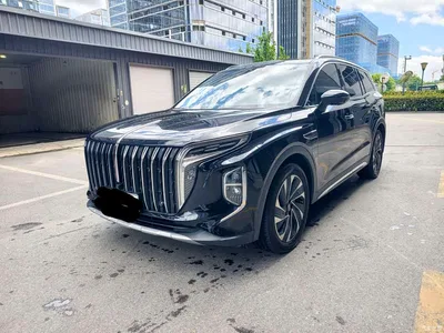 2024 Hongqi HS7 PHEV 2.0T PHEV 4WD Flagship Edition 6-seater, фото 1, лот 10288402