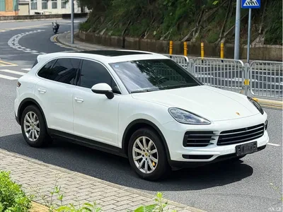 2022 Porsche Cayenne 3.0T Platinum Edition, фото 3, лот 10408690