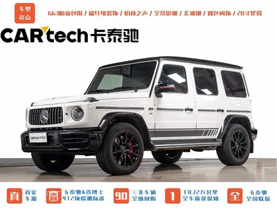 2019 Mercedes-Benz G-Class Facelift G 500, фото 1, лот 10255035