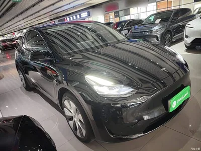 2023 Tesla Model Y Rear-Wheel Drive Edition, фото 4, лот 10370345