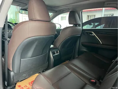 2020 Lexus RX 300 4WD Elegance Edition China VI, фото 4, лот 10313538