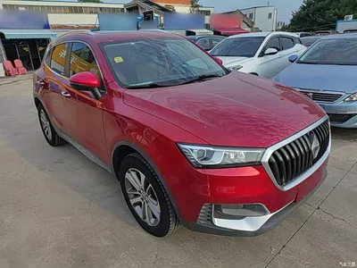 2017 Borgward BX5 25TGDI Automatic 4WD Premium Edition, фото 4, лот 10518575